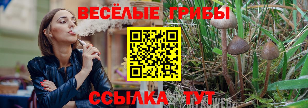 Сорочинск  Псилоцибиновые грибы MAGIC MUSHROOMS  Вход с VPN 